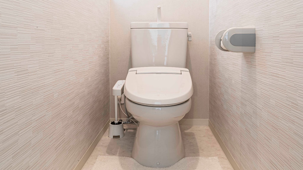 Comparaison visuelle abattant simple, abattant électrique et WC japonais complet